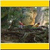 090731-696.jpg